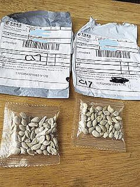 are people receiving unsolicited seeds from china